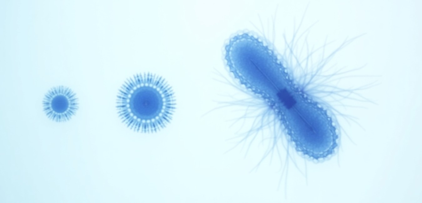 Cytokiny kluczem do zrozumienia uszkodzeń naczyniowych w COVID-19